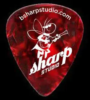 A guitar pick with the name of a character.