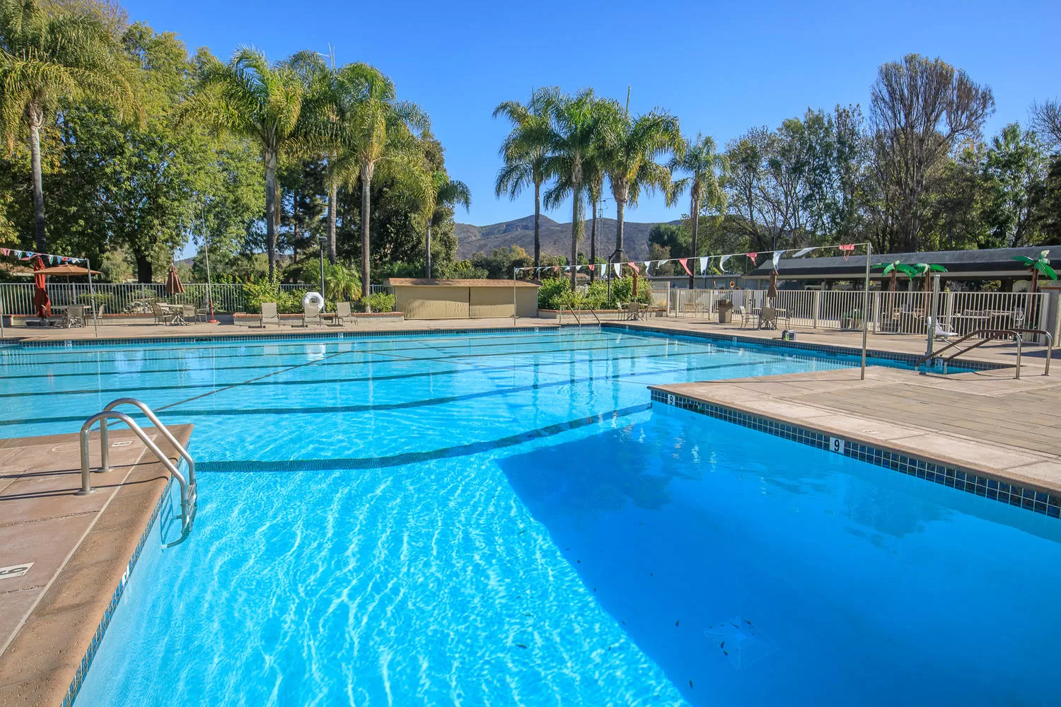Pool and Spa